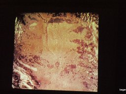 Wigner Jenő Országos Fizikai Feladatmegoldó Verseny