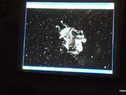 Wigner Jenő Országos Fizikai Feladatmegoldó Verseny