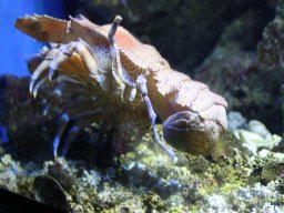 Kirándulás az állatkertben