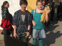 Országos festészet verseny 2012. március 23-24. Pomáz