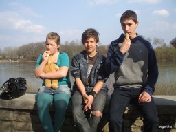 Országos festészet verseny 2012. március 23-24. Pomáz