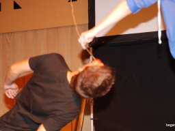 Gólyanap és gólyabál