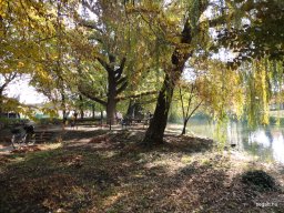 72 óra kompromisszumok nélkül