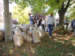 72 óra kompromisszumok nélkül