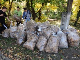 72 óra kompromisszumok nélkül