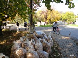 72 óra kompromisszumok nélkül