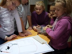 Gólya buli 5.osztály