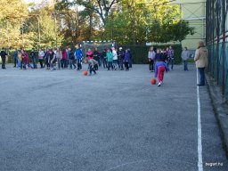 Gólya buli 5.osztály