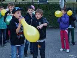 Gólya buli 5.osztály