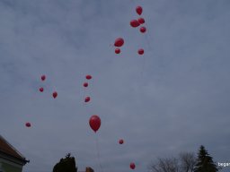 Pirosba öltöztünk