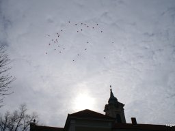 Pirosba öltöztünk