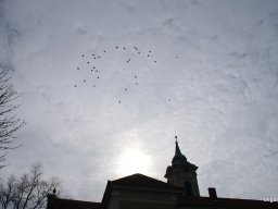 Pirosba öltöztünk