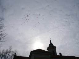 Pirosba öltöztünk