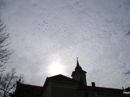 Pirosba öltöztünk