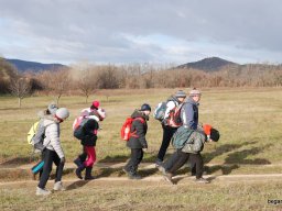 Kirándulás a Budai-hegységbe 