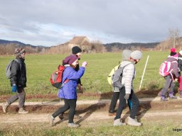 Kirándulás a Budai-hegységbe 