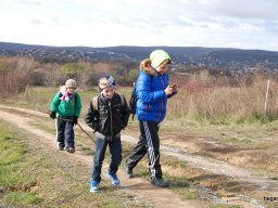 Kirándulás a Budai-hegységbe 