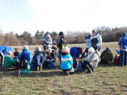 Kirándulás a Budai-hegységbe 