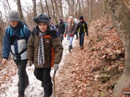 Kirándulás a Budai-hegységbe 