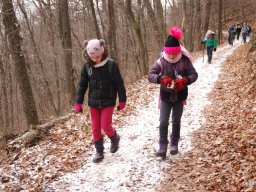 Kirándulás a Budai-hegységbe 