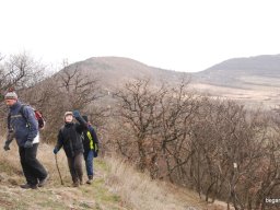 Kirándulás a Budai-hegységbe 