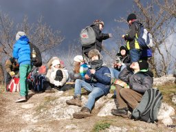 Kirándulás a Budai-hegységbe 