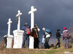 Kirándulás a Budai-hegységbe 