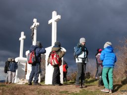 Kirándulás a Budai-hegységbe 