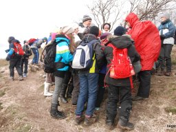 Kirándulás a Budai-hegységbe 