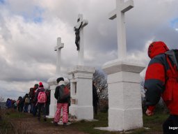 Kirándulás a Budai-hegységbe 