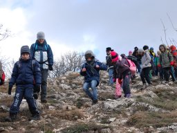 Kirándulás a Budai-hegységbe 