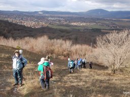 Kirándulás a Budai-hegységbe 