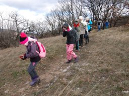 Kirándulás a Budai-hegységbe 