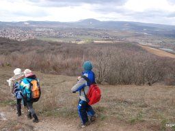 Kirándulás a Budai-hegységbe 