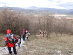 Kirándulás a Budai-hegységbe 