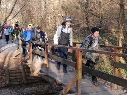 Kirándulás a Budai-hegységbe 