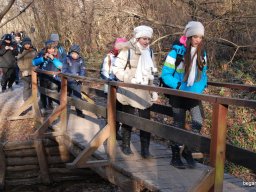 Kirándulás a Budai-hegységbe 