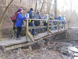 Kirándulás a Budai-hegységbe 