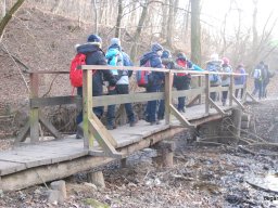 Kirándulás a Budai-hegységbe 