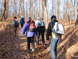 Kirándulás a Budai-hegységbe 