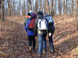 Kirándulás a Budai-hegységbe 