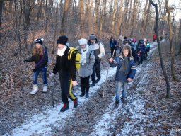 Kirándulás a Budai-hegységbe 