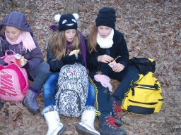 Kirándulás a Budai-hegységbe 