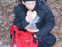 Kirándulás a Budai-hegységbe 