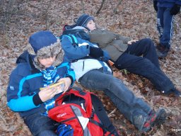 Kirándulás a Budai-hegységbe 