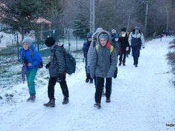 Kirándulás a Budai-hegységbe 