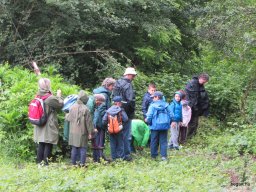 Nyárköszöntő túra a BEG Barangolókkal
