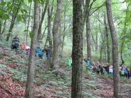 Nyárköszöntő túra a BEG Barangolókkal