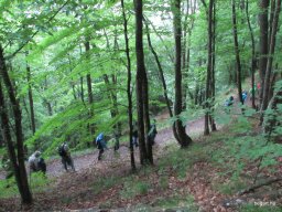 Nyárköszöntő túra a BEG Barangolókkal