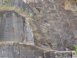 Nyárköszöntő túra a BEG Barangolókkal